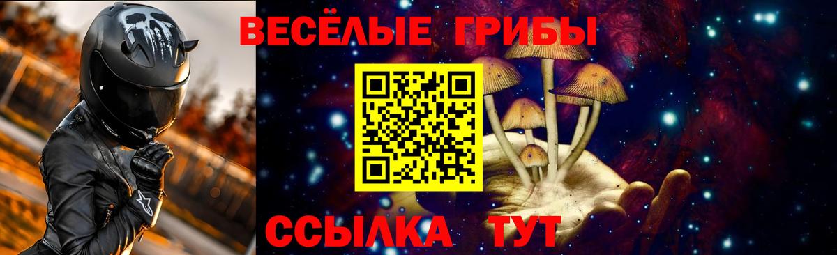 Галлюциногенные грибы Psilocybe Нурлат